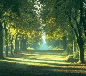 6068810032612494732 e1745284374763