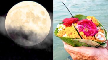 6080019089801200035 e1745641903167