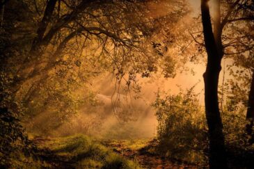 6084503065722995641 e1745804041639