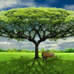 6305217213111585729 1