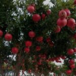 Screenshot 2025 04 22 07 59 53 83 680d03679600f7af0b4c700c6b270fe7