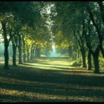 WhatsApp Image 2025 04 08 at 4.09.13 PM