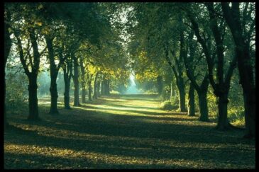 WhatsApp Image 2025 04 08 at 4.09.13 PM e1744108958894