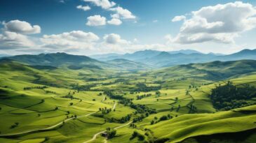 6095796119587111726 e1746064184292