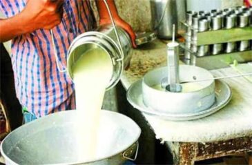 6104889604734829723 1 e1746336977864