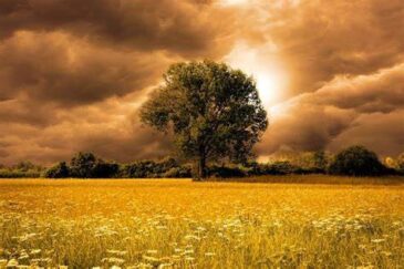 6124928775381697201 e1746932241684