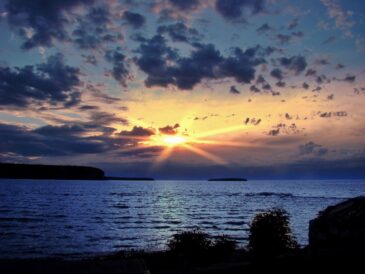 6161032141622854690 e1747966506575