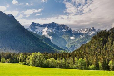 6169956362109438003 e1748222464467