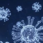 WhatsApp Image 2025 05 20 at 9.06.41 AM