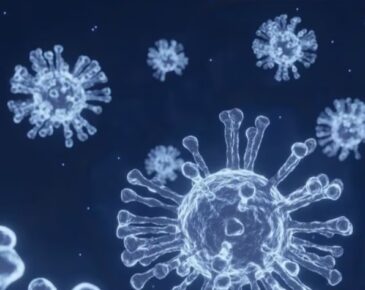 WhatsApp Image 2025 05 20 at 9.06.41 AM e1747712397673