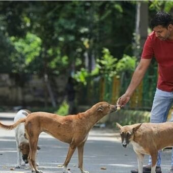 Screenshot 20260114 090209 Chrome