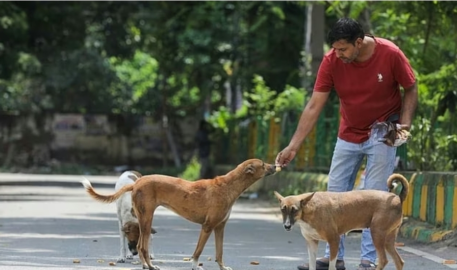 Screenshot 20260114 090209 Chrome